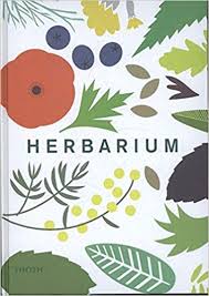 HILDEBRAND, CAZ. - Herbarium. [Kweken koken genezen]