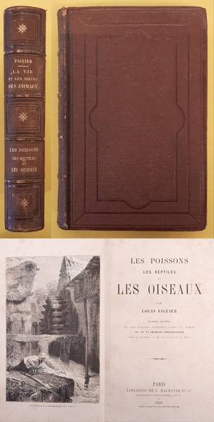 FIGUIER, LOUIS. - Les poissons, les reptiles et les oiseaux.