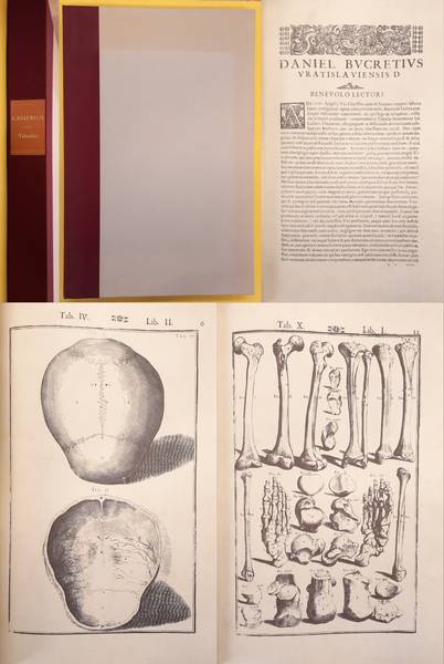 CASSERIUS, JULIUS. - Tabulae Anatomicae & De Formato Foetu Tabulae. [ facsimile of the edition Venice , 1727 ]  + PLUS: Introduction [ softcover ; in English, 31 pages ]  PLUS: Einfhrung [ Broschiert, Text in deutscher Sprache, 32 Seiten ].