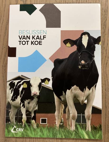 GRONDMAN, WIM (RED.). - Beslissen van kalf tot koe.