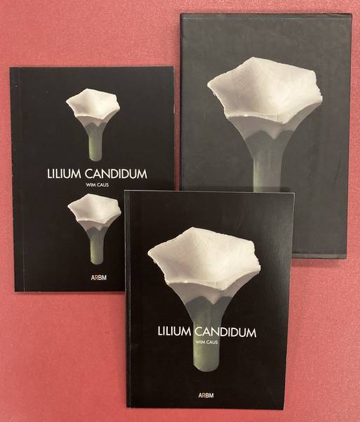 CAUS, WIM. - Lilium Candidum.