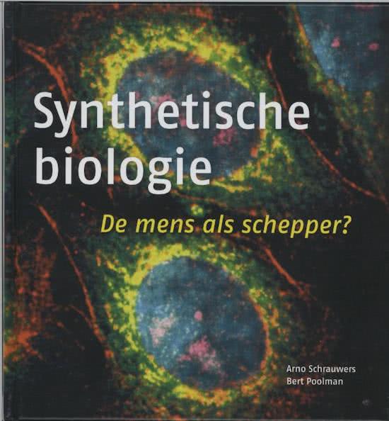 SCHRAUWERS, ARNO & BERT POOLMAN.