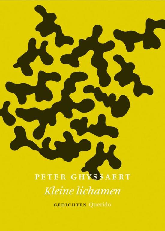 GHYSSAERT, PETER.