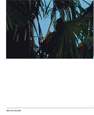 SM 2009:, JENNIFER ALLORA & GUILLERMO CALZADILLA. & RUF, BEATRIX [ED.]. Allora & Calzadilla. Catalogue 889.