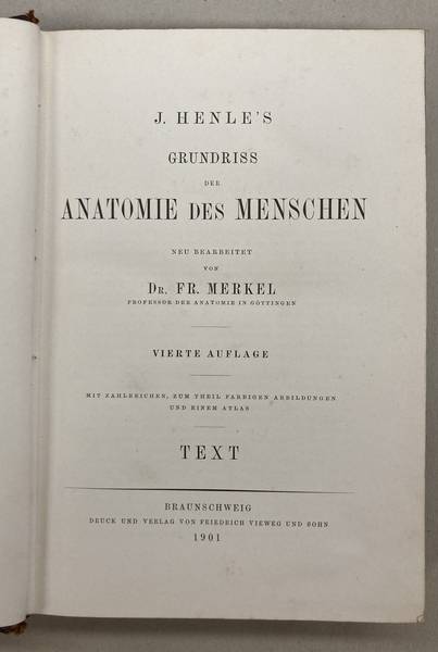 HENLE, J. & FR. MERKEL [BEARBEITET]