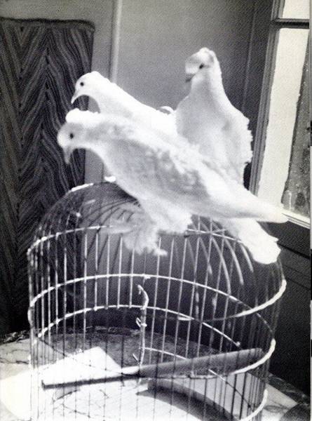 SM 1963: Foto's van Henri Cartier Bresson - Het beslissende moment. Catalogue 332.