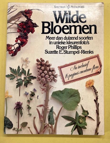 PHILLIPS,ROGER & SUZETTE E.STUMPEL-RIENKS.