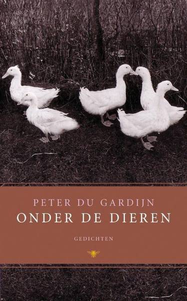 GARDIJN, PETER DU.