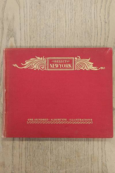 NEW YORK - ALBERTTYPE & CO - A. WIITTEMANN. Select New York One Hundred Albertype Illustrations.