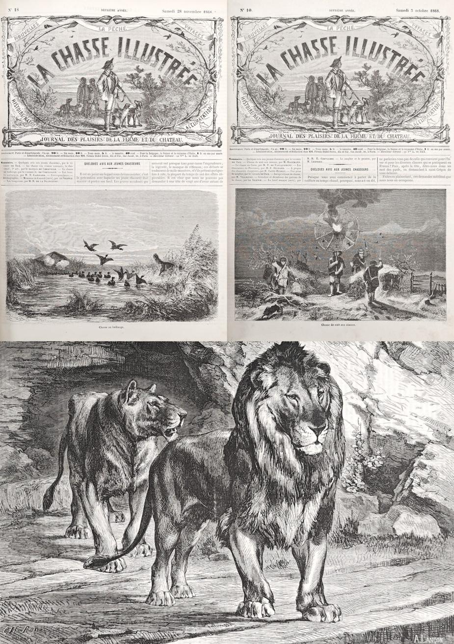 CHASSE ILLUSTRÉE