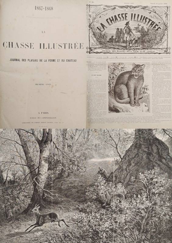 CHASSE ILLUSTRÉE